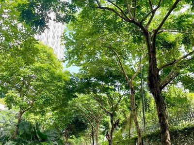 Ecolife Capitol, Vietnam Ecolife Capitol, Vietnam