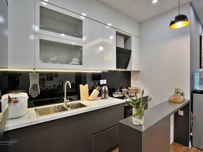 The Golden Armor, Vietnam The Golden Armor, Vietnam