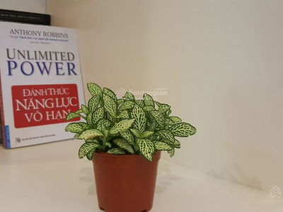 Logement dans Hanoi, Vietnam Logement dans Hanoi, Vietnam