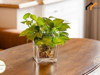 Жилье в Nha Be, Vietnam Жилье в Nha Be, Vietnam