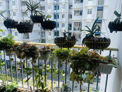 Le Thanh Apartment, Vietnam Le Thanh Apartment, Vietnam