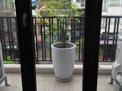 Alojamiento en Hanoi, Vietnam Alojamiento en Hanoi, Vietnam