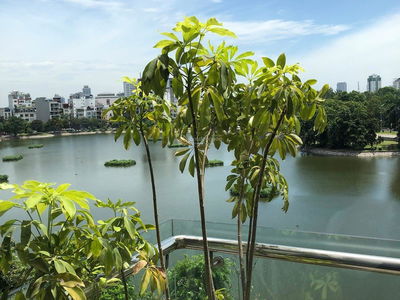 Gehäuse In Hanoi, Vietnam  Gehäuse In Hanoi, Vietnam