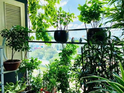 Kingdom 101, Vietnam Kingdom 101, Vietnam