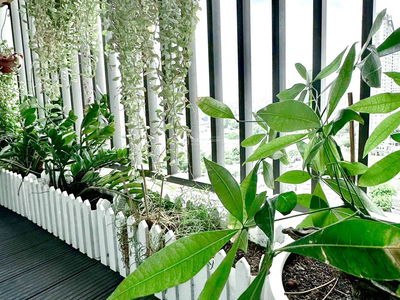 Sunrise City, Vietnam Sunrise City, Vietnam