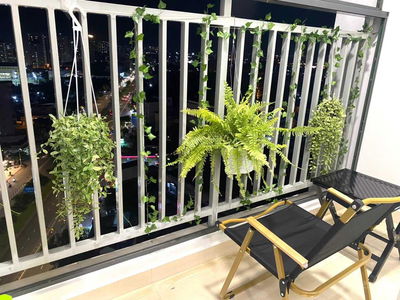 Moonlight Boulevard, Vietnam Moonlight Boulevard, Vietnam