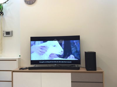 The Art, Vietnam The Art, Vietnam