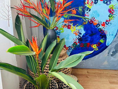 Xuân Mai Complex, Vietnam Xuân Mai Complex, Vietnam