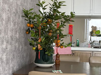 Masteri An Phú, Vietnam Masteri An Phú, Vietnam