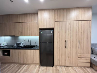 Swan Lake Onsen Residences, Vietnam  Swan Lake Onsen Residences, Vietnam