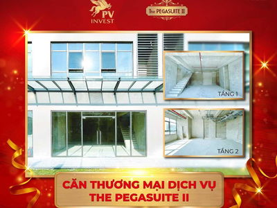 The Pegasuite 2, Vietnam The Pegasuite 2, Vietnam