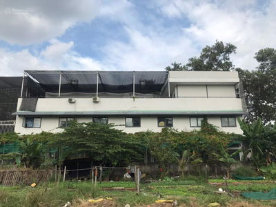 Housing in Ho Chi Minh City, Vietnam Housing in Ho Chi Minh City, Vietnam