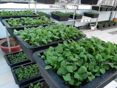 Alojamiento en Ho Chi Minh City, Vietnam Alojamiento en Ho Chi Minh City, Vietnam