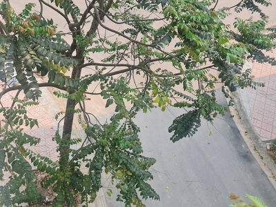 Housing in Hanoi, Vietnam Housing in Hanoi, Vietnam