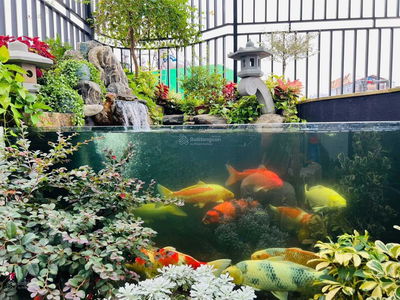 Housing in Ha GJong, Vietnam Housing in Ha GJong, Vietnam