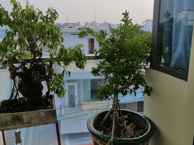 Alojamiento en Nha Be, Vietnam Alojamiento en Nha Be, Vietnam