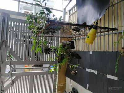 Жилье в Nha Be, Vietnam Жилье в Nha Be, Vietnam