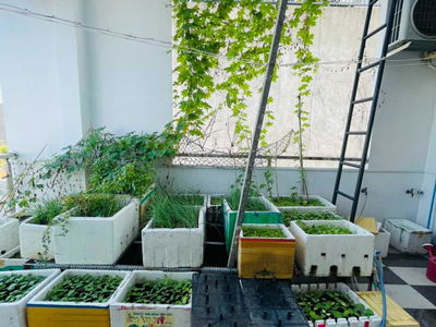 Gehäuse In Di An, Vietnam Gehäuse In Di An, Vietnam