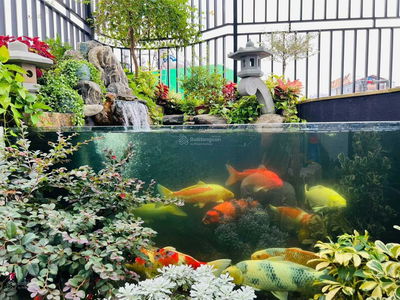 Жилье в Ha GJong, Vietnam Жилье в Ha GJong, Vietnam