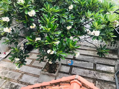 Logement dans Nha Trang, Vietnam Logement dans Nha Trang, Vietnam